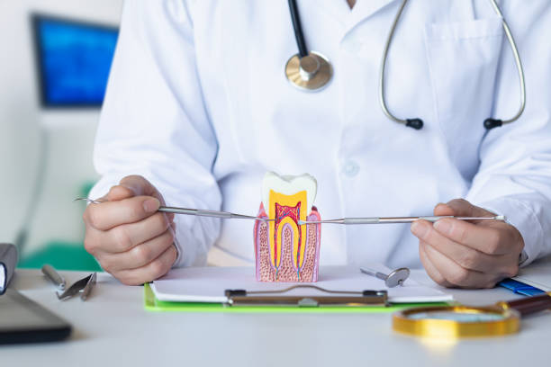 Best Emergency Dental Care for Broken or Chipped Teeth in Mountain Lake, MN